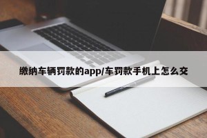 缴纳车辆罚款的app/车罚款手机上怎么交