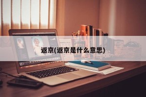 返京(返京是什么意思)