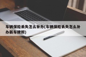 车辆保险丢失怎么补办(车辆保险丢失怎么补办新车牌照)