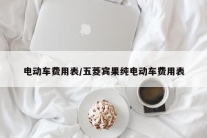 电动车费用表/五菱宾果纯电动车费用表