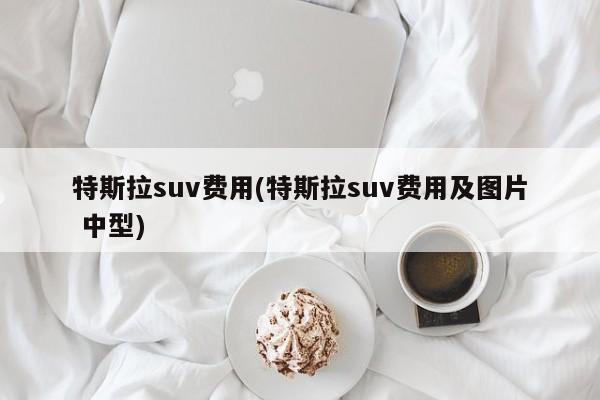 特斯拉suv费用(特斯拉suv费用及图片 中型)