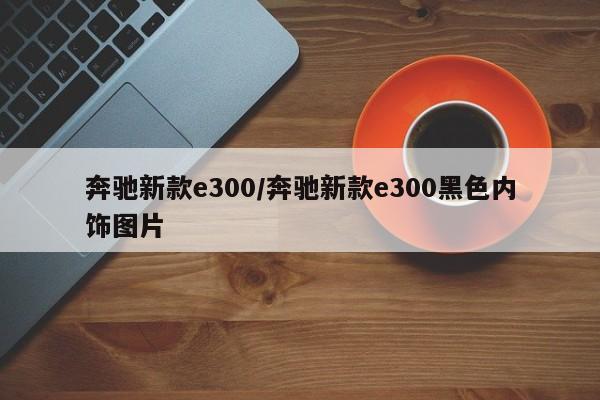 奔驰新款e300/奔驰新款e300黑色内饰图片