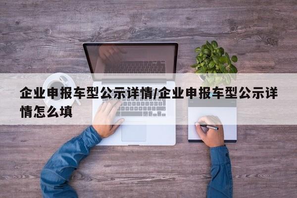 企业申报车型公示详情/企业申报车型公示详情怎么填